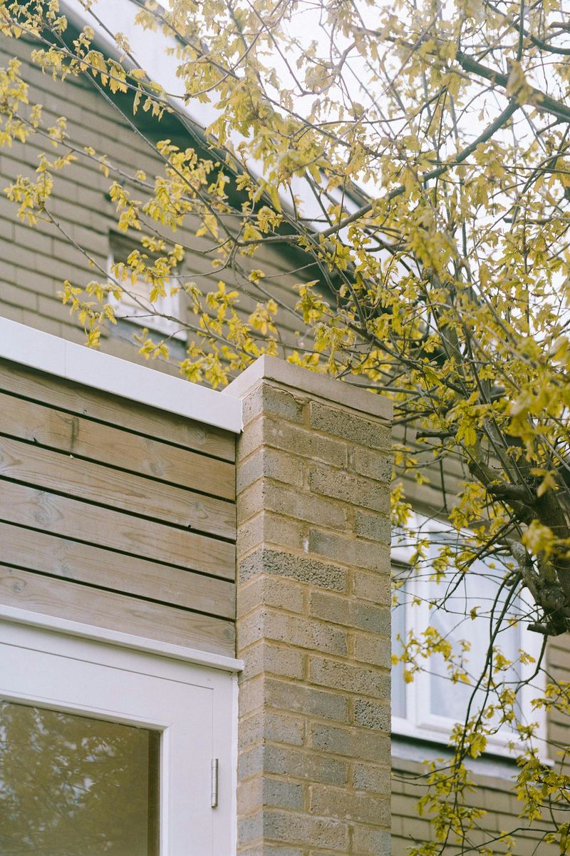 Detail external view of the new rear extension at Dorville Road project designed by From Works.