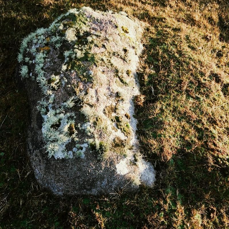 Mossy stone from a walk in the Peak District.